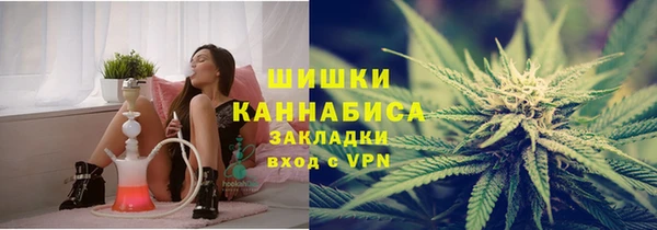 дурь Осташков