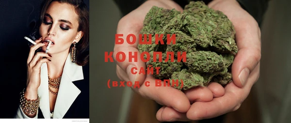 молекула духа Няндома
