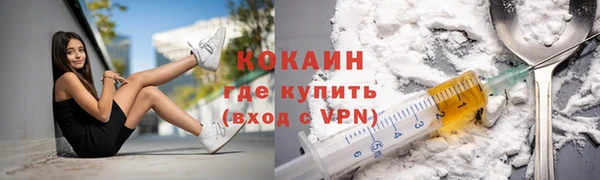 дурь Осташков