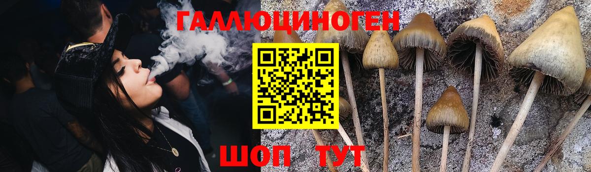 Сатка  Псилоцибиновые грибы Psilocybine cubensis  Вход с VPN 